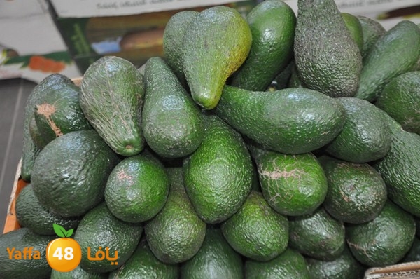 yaffa sooq 0306 (10).JPG